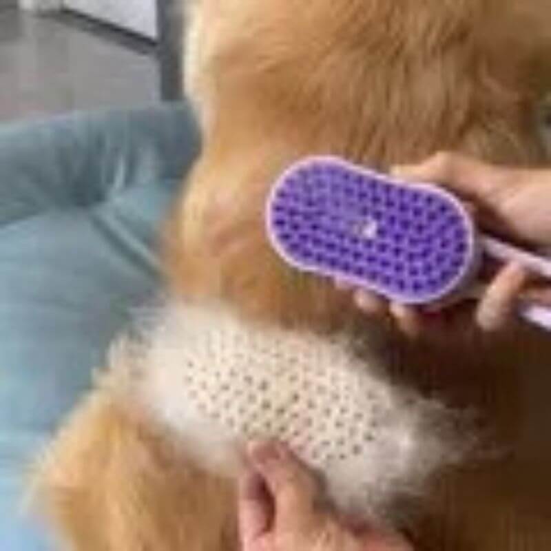 Pente Elétrico para Pets - Escove, Massageie e Hidrate!